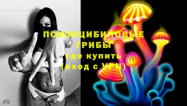 стафф Беломорск